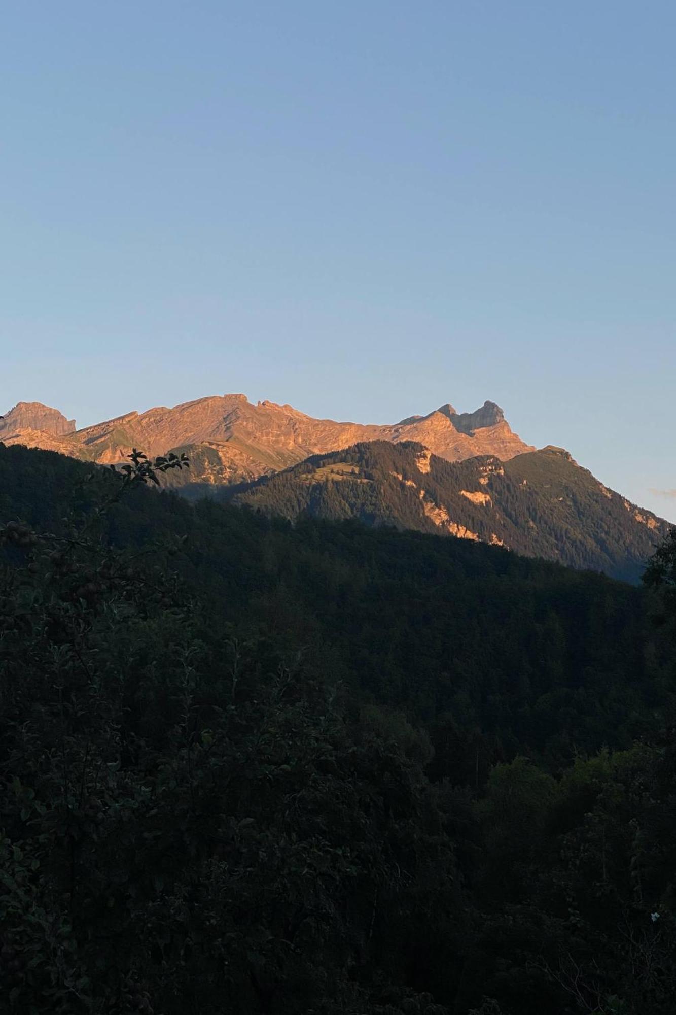 La Petite Grange Villa Villars-sur-Ollon Exteriör bild