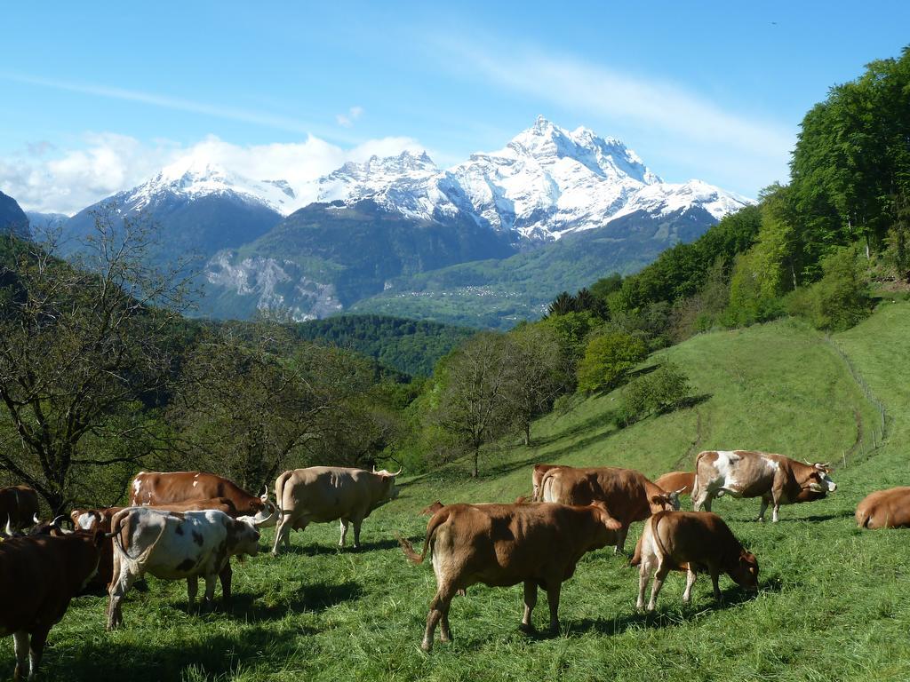 La Petite Grange Villa Villars-sur-Ollon Exteriör bild